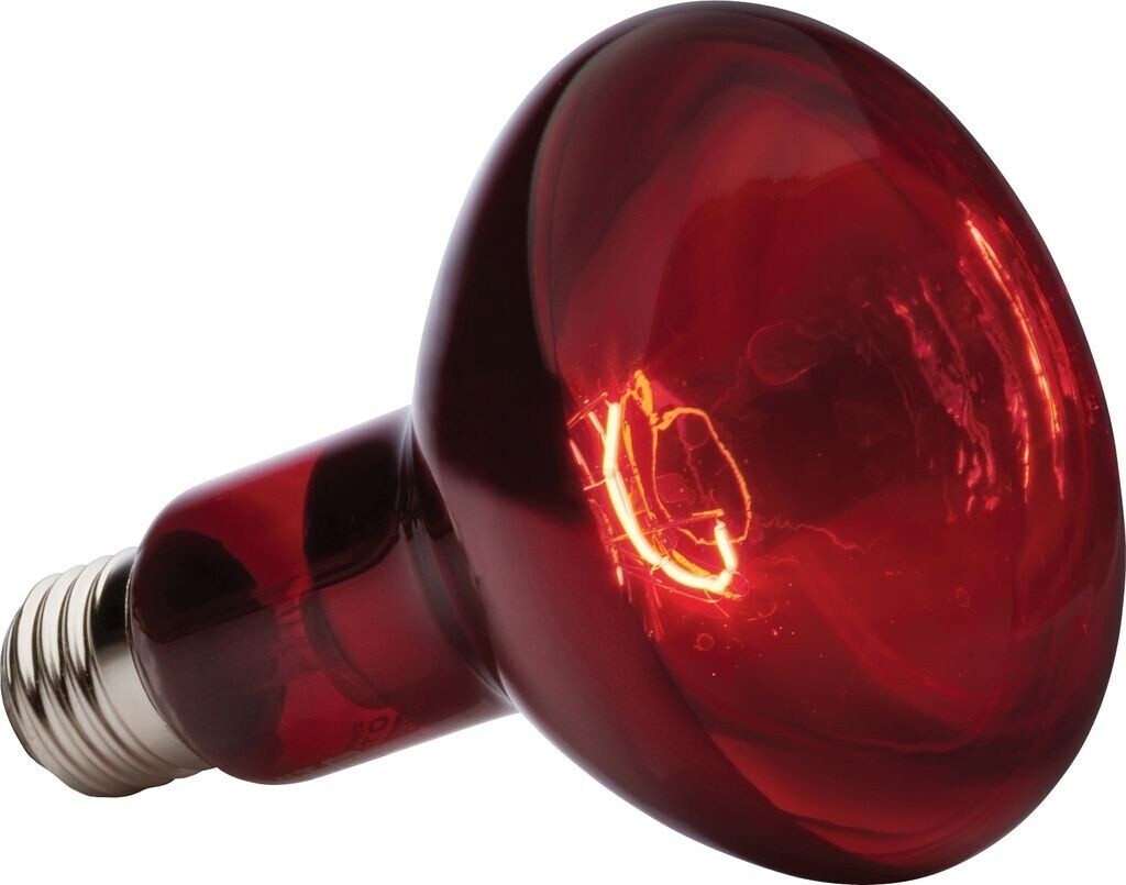 Exo Terra Heat Glo Infrared Heat Lamp R30 150W Terrarium