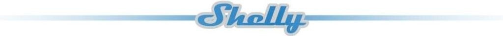 Shelly Pro 1PM WLAN LAN Bluetooth Relais Hutschiene Leistungsmessung