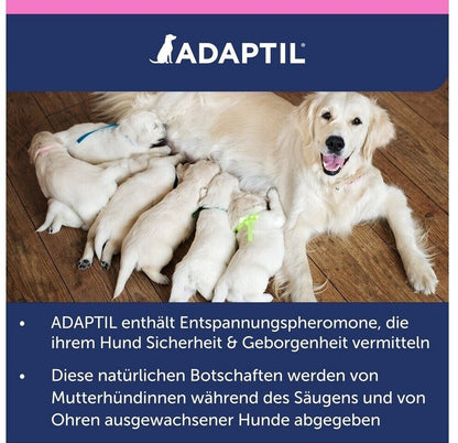 Adaptil Junior Welpen Halsband bis 37,5cm für den besten Start ins Hundeleben