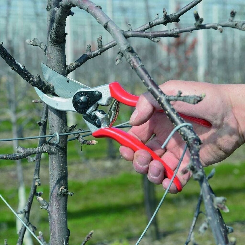 FELCO Gartenschere 2, Bypass, Schneidleistung bis 25mm Ø 240g (Neu) OVP (SWISS)