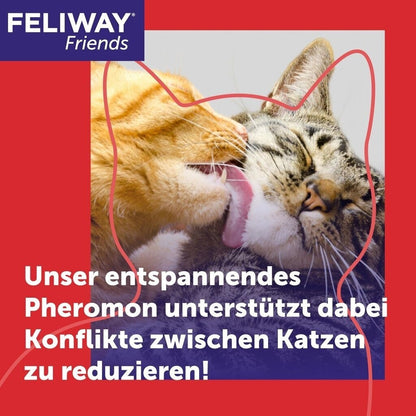 Feliway Friends 30-Tage-Nachfüllflakon - 48ml für Mehrkatzenhaushalt Beruhigung