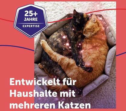 Feliway Friends 30-Tage-Nachfüllflakon - 48ml für Mehrkatzenhaushalt Beruhigung