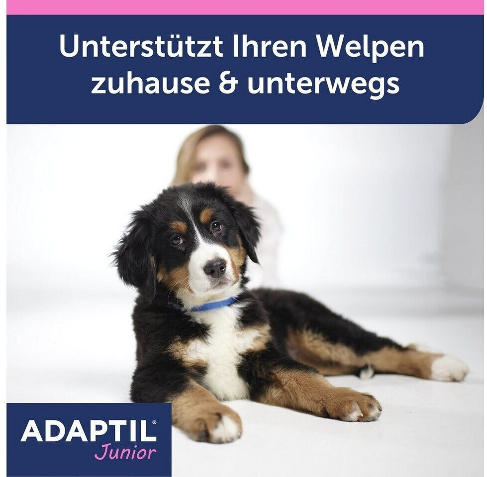 Adaptil Junior Welpen Halsband bis 37,5cm für den besten Start ins Hundeleben
