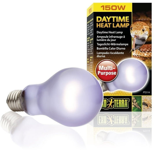 Exo Terra Daytime Heat Lamp A21 150W Terrarien Wärmelampe