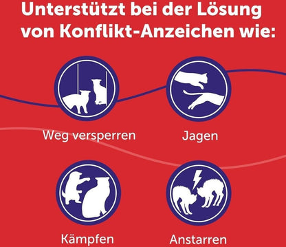 Feliway Friends 30-Tage-Nachfüllflakon - 48ml für Mehrkatzenhaushalt Beruhigung