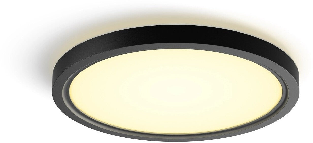 Philips Hue Tento WCA Rund S LED Panel 29,1cm schwarz 929003823601