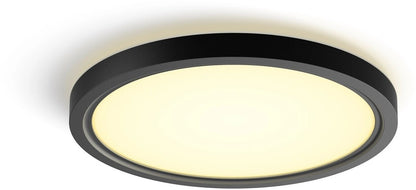 Philips Hue Tento WCA Rund S LED Panel 29,1cm schwarz 929003823601